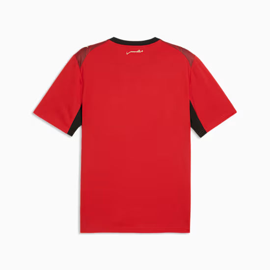 Maillot domicile Égypte 2026